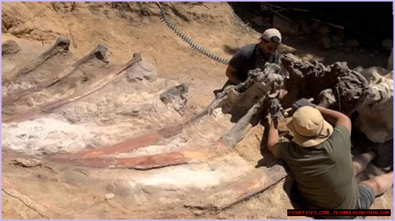 Digging Deep Into The Abby Berner Leaks: Uncovering Secrets And Consequences